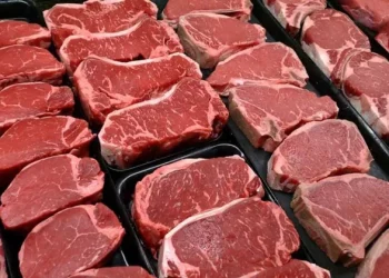 U.S. Beef Exports to China Drop After Registration Expirations
